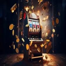 8855bet1